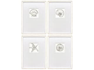 Paragon Coastal Reef Framed Art - Set of 4