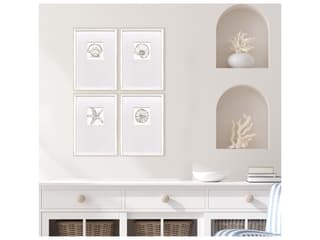 Paragon Coastal Reef Framed Art - Set of 4