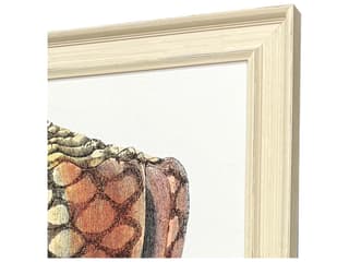 Paragon Conch Study I Framed Art