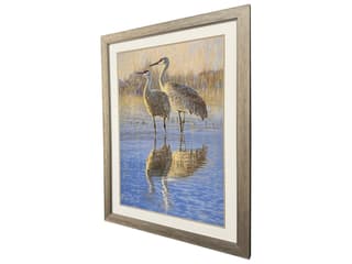 Paragon Reflection Framed Art
