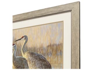 Paragon Reflection Framed Art