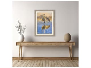 Paragon Reflection Framed Art