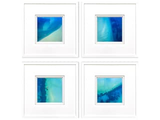 Paragon Nature From Above Framed Art - Set of 4