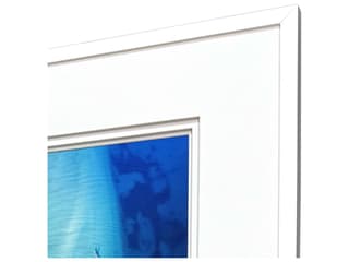 Paragon Nature From Above Framed Art - Set of 4