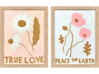 Paragon Whimsical Dream Framed Art - Set of 2