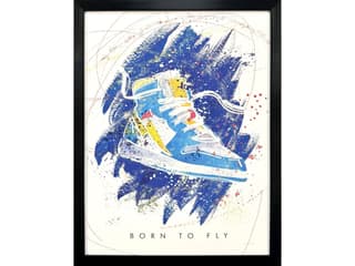 Paragon Born to Fly Framed Art
