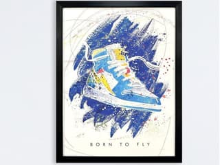 Paragon Born to Fly Framed Art