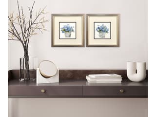 Paragon Bluebells Framed Art - Set of 2
