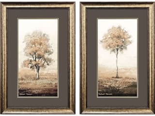Paragon Way of Nature Framed Art - Set of 2