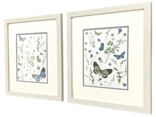Paragon Botanical Page Framed Art - Set of 2