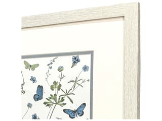 Paragon Botanical Page Framed Art - Set of 2