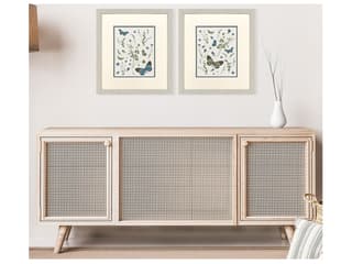 Paragon Botanical Page Framed Art - Set of 2