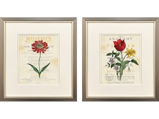 Paragon Favorite Flowers II Framed Art - Set of 2