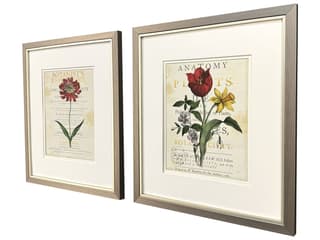 Paragon Favorite Flowers II Framed Art - Set of 2