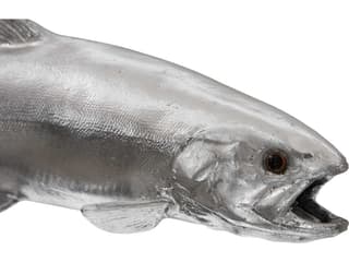 Phillips Collection Rainbow Trout Sculpture
