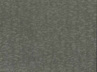 York Wallcoverings Antonina Vella Dazzling Dimensions Volume II Silver Weathered Cypress Wallpaper