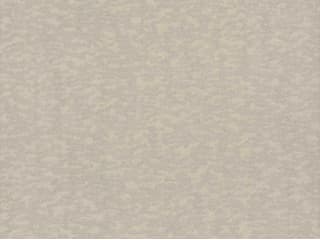 York Wallcoverings Antonina Vella Dazzling Dimensions Volume II Taupe Weathered Cypress Wallpaper