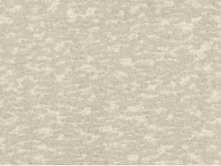York Wallcoverings Antonina Vella Dazzling Dimensions Volume II White Weathered Cypress Wallpaper