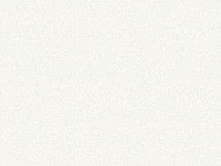 York Wallcoverings Mediterranean White Effervesce Wallpaper