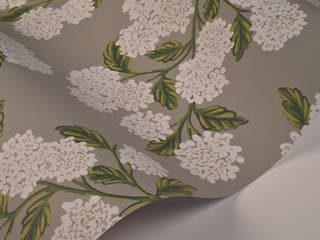 York Wallcoverings Gray Hydrangea Wallpaper