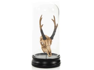 Zentique Fawn Skull Sculpture - Thumbnail 4
