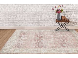 Amer Rugs Century Bordered Area Rug