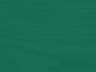 Feet Finish: Forest RAL 6016 Wood