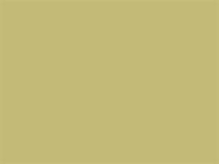 Fabric: Harvest Wheat