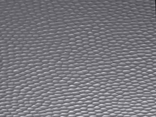 Top Finish: Hammered Stainless
