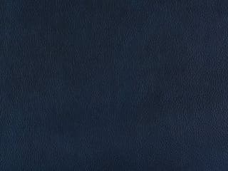 Leather: Blue - Finished Leather