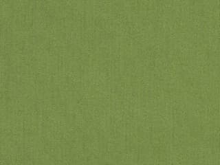 Fabric: Sunbrella Spectrum Cilantro
