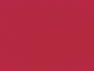 Fabric: Pacifica Red