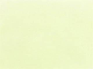 Fabric: Pacifica Natural