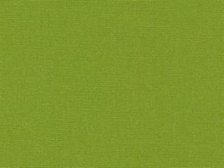 Fabric: Canvas Ginkgo