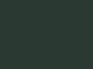 Seating Frame Finish: Dark Green