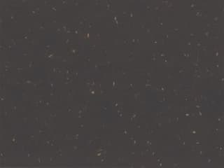 Seat Color: Dark Grey - 100% Reclaimed polypropylene with wood fiber