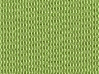 Fabric: Obravia Kiwi