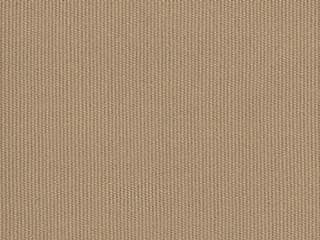 Fabric: Beige Solution Dyed Poly