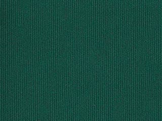 Fabric: Forest Green Solution Dyed Poly