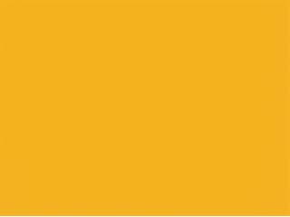 Seating Frame Finish: Yellow