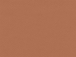 Fabric: Aztec Clay