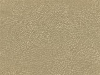 Fabric: Barro