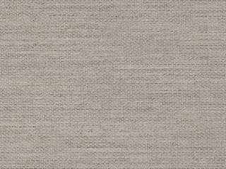 Fabric: Fog