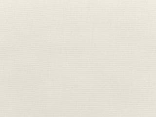 Fabric: Canvas