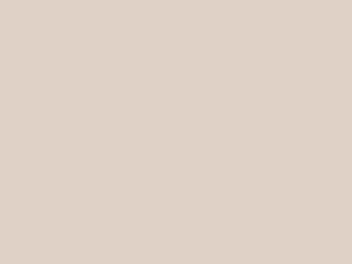 Strap Color: Dove