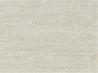 Fabric: Remy Cloud