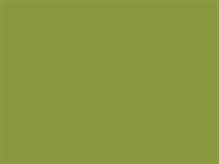 Fabric: Sunbrella Macaw / Olive