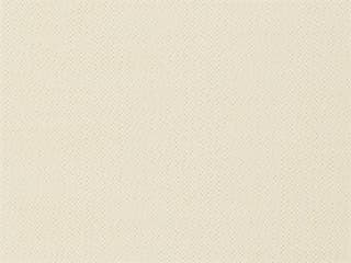 Fabric: Outdura Storm Creme 6616