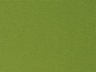 Fabric: Sunbrella Macaw