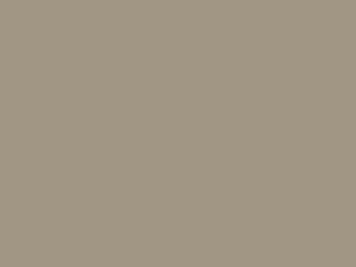 Slat and Frame Finish: Beige Gloss